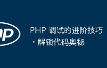 PHP 调试的进阶技巧，解锁代码奥秘