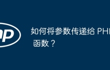 如何将参数传递给 PHP 函数？