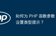 如何为 PHP 函数参数设置类型提示？