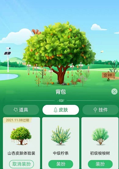 Alipay Ant Forest에서 살구 스킨을 얻는 방법_Alipay Ant Forest 무료 평가판 살구 스킨 튜토리얼