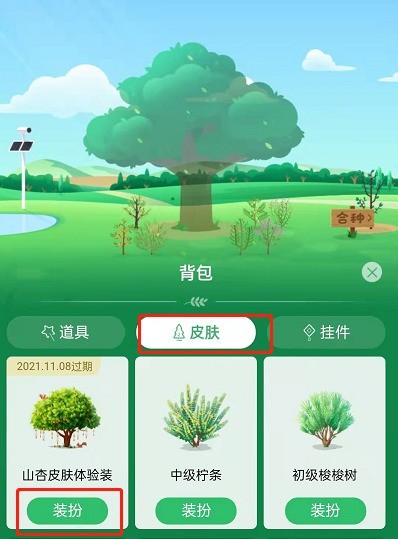 Bagaimana untuk mendapatkan kulit Apricot dalam Alipay Ant Forest_Alipay Ant Forest percubaan percuma Tutorial kulit Apricot