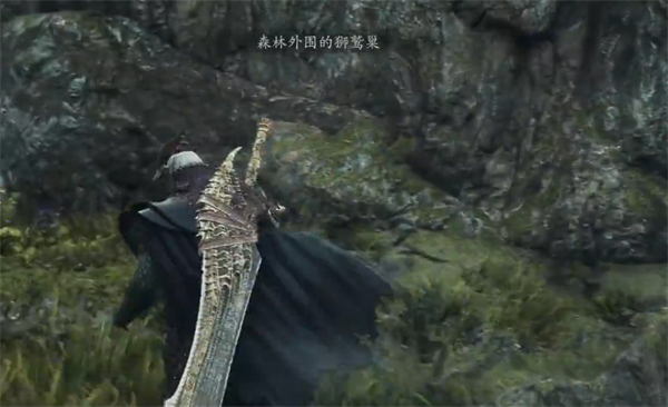 Was ist in Dragons Dogma 2 Gryphons Nest?