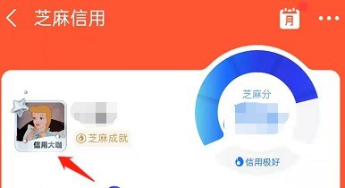 Alipay Sesame 업적 메달을 볼 수 있는 곳_Alipay Sesame 업적 메달 보기 튜토리얼