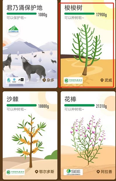 How to get permanent skin of planted trees in Ant Forest_How to get permanent skin of planted trees in Alipay Ant Forest