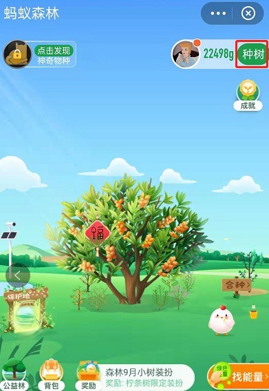 How to get permanent skin of planted trees in Ant Forest_How to get permanent skin of planted trees in Alipay Ant Forest