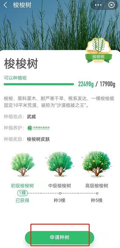 How to get permanent skin of planted trees in Ant Forest_How to get permanent skin of planted trees in Alipay Ant Forest