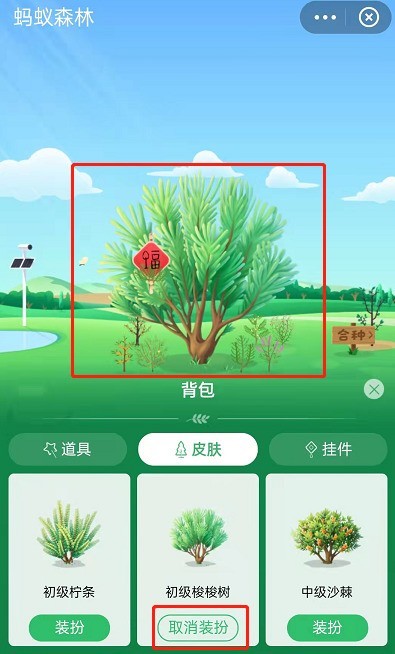 How to get permanent skin of planted trees in Ant Forest_How to get permanent skin of planted trees in Alipay Ant Forest