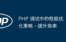 PHP 调试中的性能优化策略,提升效率