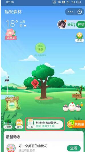 How to get the Ant Forest Peach Tree Dressup_How to get the Ant Forest Peachtree Dressup