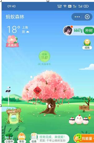 How to get the Ant Forest Peach Tree Dressup_How to get the Ant Forest Peachtree Dressup