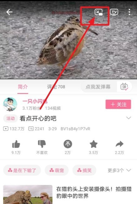 哔哩哔哩窗口模式怎么开_哔哩哔哩窗口模式打开步骤