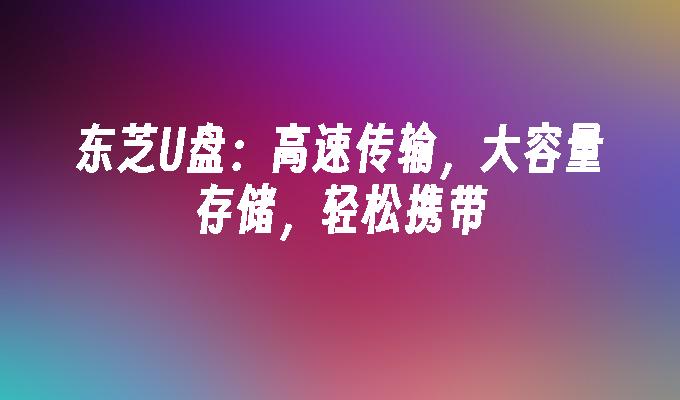 東芝U盤：高速傳輸，大容量存儲，輕鬆攜帶