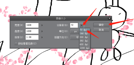 How to adjust the resolution of You Anime PAINT