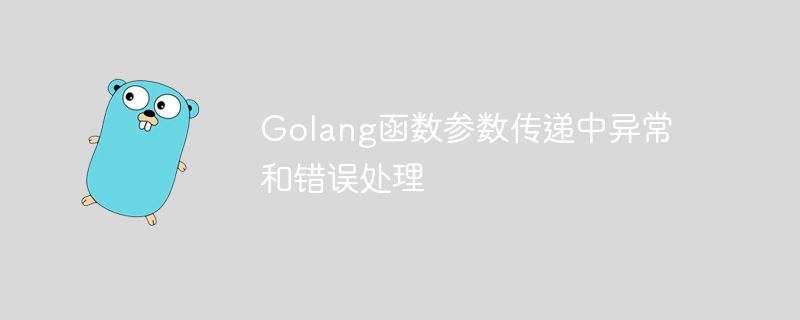 Gestion des exceptions et des erreurs dans le passage des paramètres de la fonction Golang