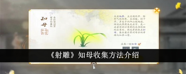 《射雕》知母收集方法介绍