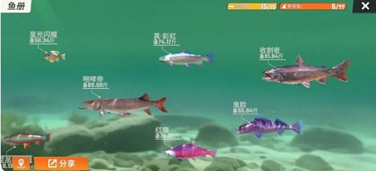 《歡樂釣魚大師》全圖鑑一覽