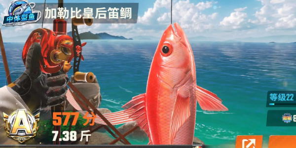 《歡樂釣魚大師》全圖鑑一覽