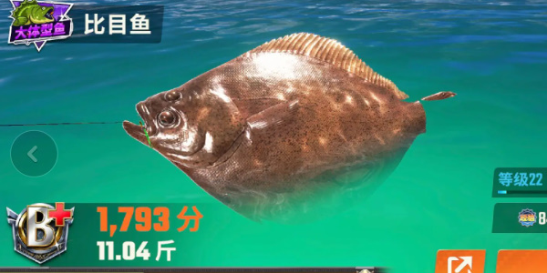 《歡樂釣魚大師》全圖鑑一覽