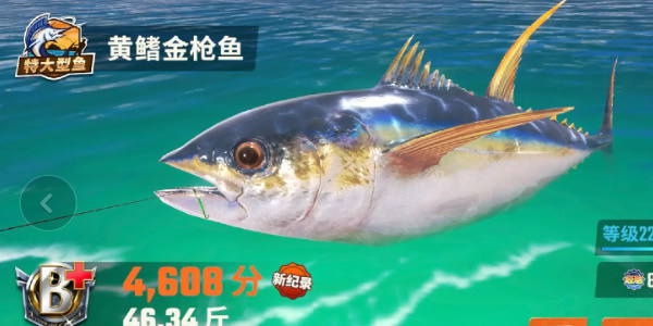 《歡樂釣魚大師》全圖鑑一覽