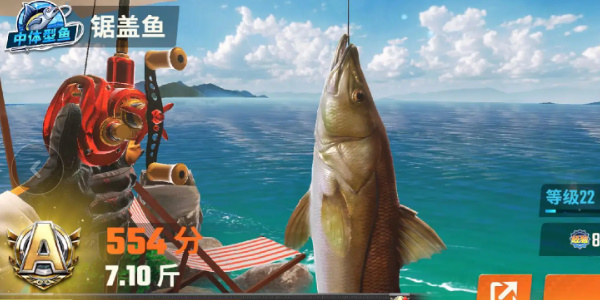 《歡樂釣魚大師》全圖鑑一覽