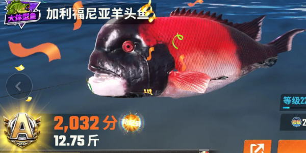 《歡樂釣魚大師》全圖鑑一覽