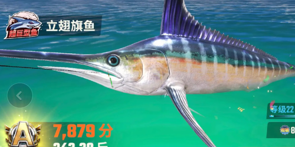 《歡樂釣魚大師》全圖鑑一覽