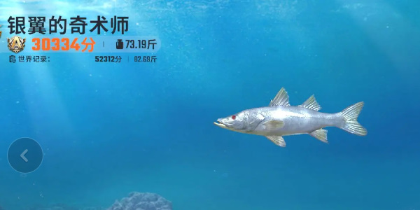 《歡樂釣魚大師》全圖鑑一覽