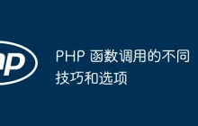 PHP 函数调用的不同技巧和选项