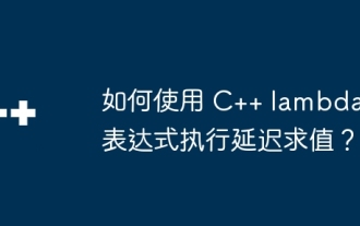 How to perform lazy evaluation using C++ lambda expressions?