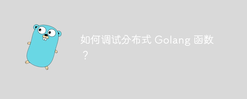 如何调试分布式 Golang 函数？