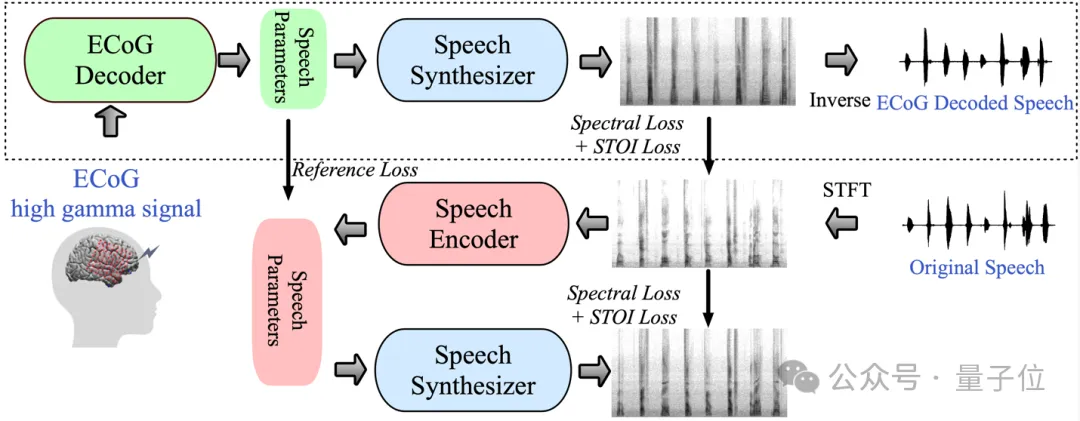 EEG synthesis of natural speech! LeCun forwards new results of Nature sub-journal, and the code is open source