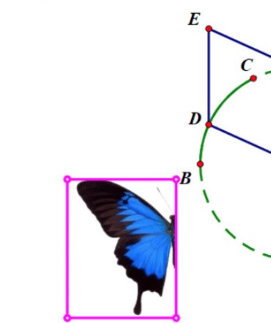 几何画板怎么绘制蝴蝶动画_几何画板蝴蝶动画设计方法