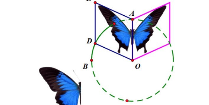 几何画板怎么绘制蝴蝶动画_几何画板蝴蝶动画设计方法
