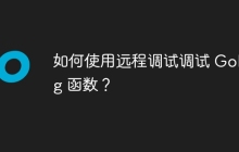 如何使用远程调试调试 Golang 函数？
