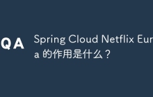Spring Cloud Netflix Eureka 的作用是什么？