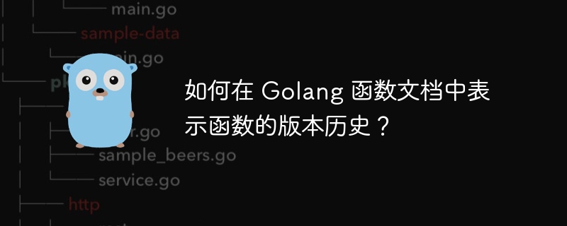 如何在 Golang 函数文档中表示函数的版本历史？