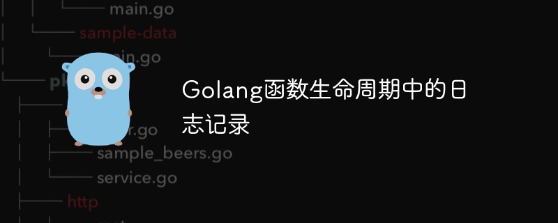 Golang函数生命周期中的日志记录