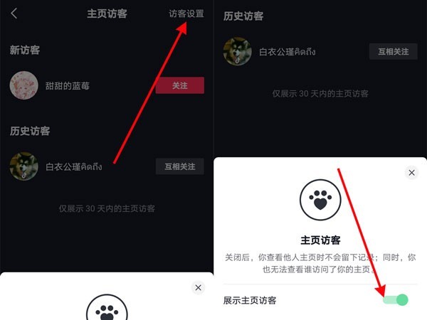 Douyin APP でホームページ訪問者記録を有効にする方法_Douyin APP でホームページ訪問者記録を設定する方法