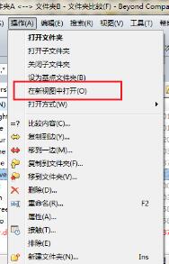 Beyond Compare在新视图中比较子文件夹的操作方法