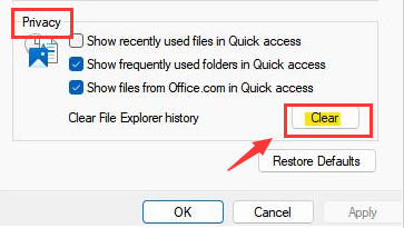 How to clear Explorer file records in Win11