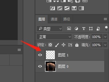 How to use ps stamp tool_How to use ps stamp tool