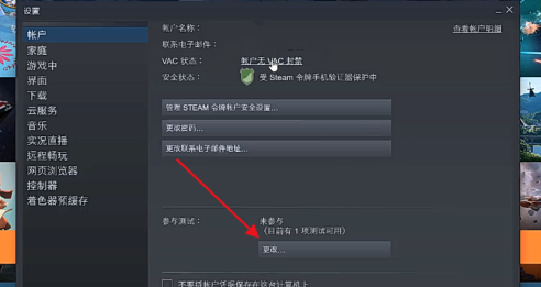 Steam で新しいインターフェースを設定する方法