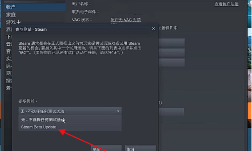 Steam で新しいインターフェースを設定する方法