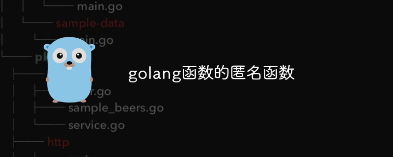 golang 함수에 대한 익명 함수