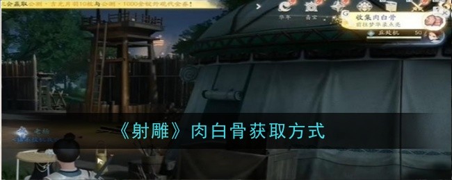 「コンドル射撃」での肉と骨の入手方法