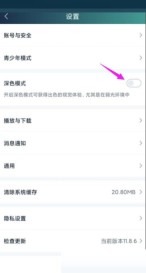爱奇艺怎么开启夜间模式_爱奇艺开启夜间模式方法