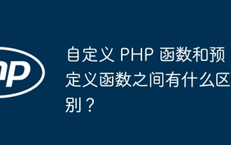 カスタム PHP 関数と定義済み関数の違いは何ですか?