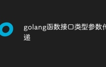 golang函数接口类型参数传递