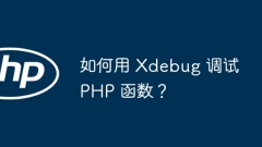 如何用 Xdebug 调试 PHP 函数?