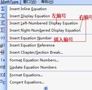 How to insert formula numbers using MathType